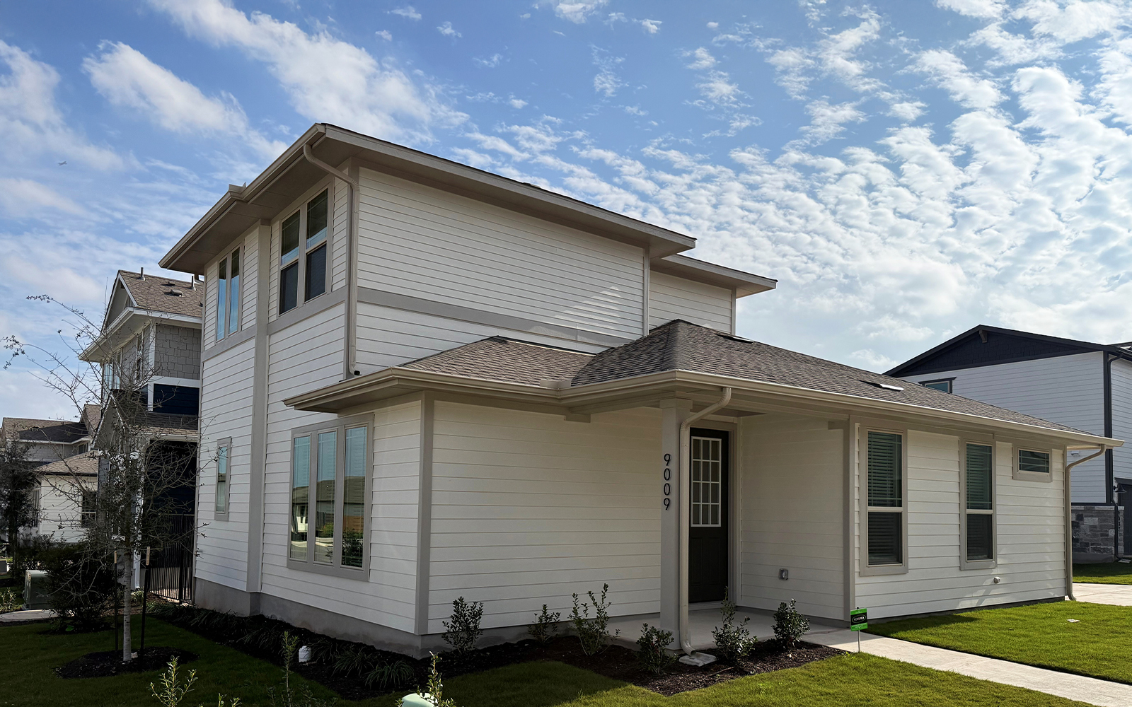 9009HamadryasEdited 9009HamadryasEdited